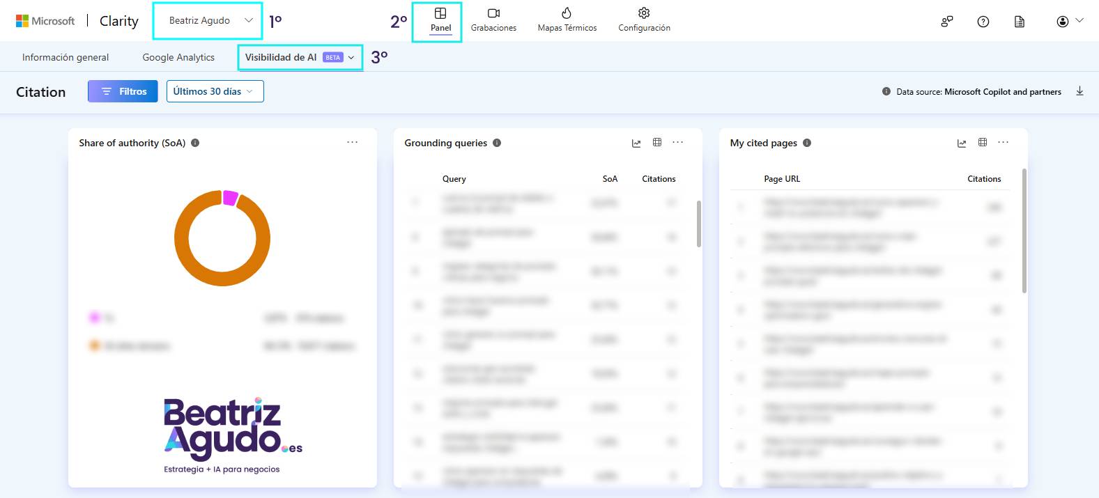 informe de Visibilidad de IA con Microsoft Claruty